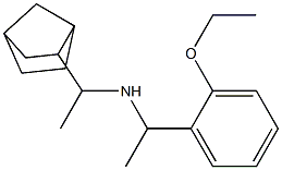 (1-{bicyclo[2.2.1]heptan-2-yl}ethyl)[1-(2-ethoxyphenyl)ethyl]amine