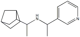 (1-{bicyclo[2.2.1]heptan-2-yl}ethyl)[1-(pyridin-3-yl)ethyl]amine|