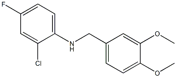 (2-chloro-4-fluorophenyl)(3,4-dimethoxyphenyl)methylamine Struktur