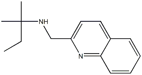 (2-methylbutan-2-yl)(quinolin-2-ylmethyl)amine 结构式