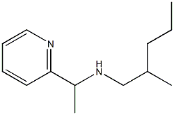 (2-methylpentyl)[1-(pyridin-2-yl)ethyl]amine 结构式