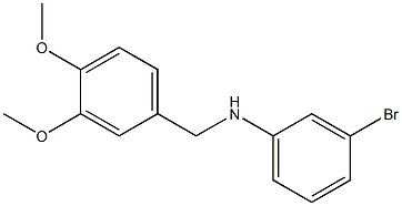 (3-bromophenyl)(3,4-dimethoxyphenyl)methylamine Structure