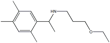 (3-ethoxypropyl)[1-(2,4,5-trimethylphenyl)ethyl]amine Structure