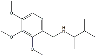 (3-methylbutan-2-yl)[(2,3,4-trimethoxyphenyl)methyl]amine