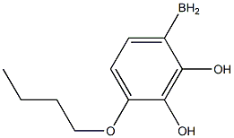 (4-butoxyphenyl)boranediol 化学構造式