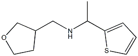 (oxolan-3-ylmethyl)[1-(thiophen-2-yl)ethyl]amine Structure