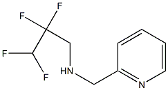  (pyridin-2-ylmethyl)(2,2,3,3-tetrafluoropropyl)amine