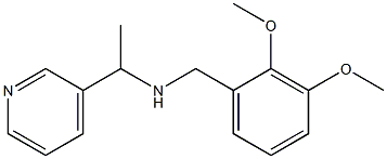 [(2,3-dimethoxyphenyl)methyl][1-(pyridin-3-yl)ethyl]amine|