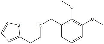 [(2,3-dimethoxyphenyl)methyl][2-(thiophen-2-yl)ethyl]amine