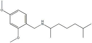 [(2,4-dimethoxyphenyl)methyl](6-methylheptan-2-yl)amine Structure