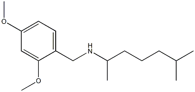  [(2,4-dimethoxyphenyl)methyl](6-methylheptan-2-yl)amine