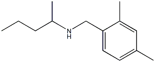 [(2,4-dimethylphenyl)methyl](pentan-2-yl)amine