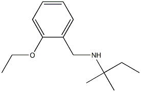 [(2-ethoxyphenyl)methyl](2-methylbutan-2-yl)amine 化学構造式