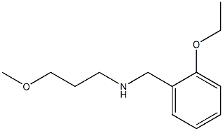 [(2-ethoxyphenyl)methyl](3-methoxypropyl)amine 化学構造式