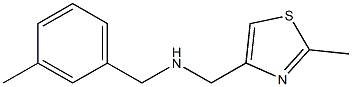 [(2-methyl-1,3-thiazol-4-yl)methyl][(3-methylphenyl)methyl]amine