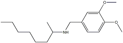 [(3,4-dimethoxyphenyl)methyl](octan-2-yl)amine|
