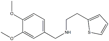 [(3,4-dimethoxyphenyl)methyl][2-(thiophen-2-yl)ethyl]amine