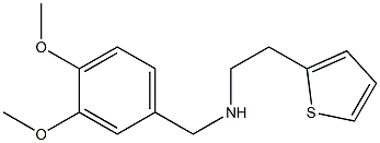 [(3,4-dimethoxyphenyl)methyl][2-(thiophen-2-yl)ethyl]amine|