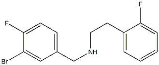  [(3-bromo-4-fluorophenyl)methyl][2-(2-fluorophenyl)ethyl]amine