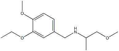 [(3-ethoxy-4-methoxyphenyl)methyl](1-methoxypropan-2-yl)amine,,结构式