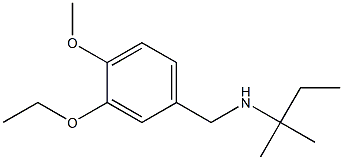 [(3-ethoxy-4-methoxyphenyl)methyl](2-methylbutan-2-yl)amine