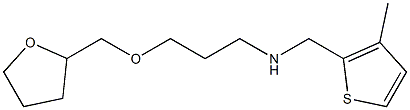[(3-methylthiophen-2-yl)methyl][3-(oxolan-2-ylmethoxy)propyl]amine