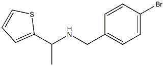 [(4-bromophenyl)methyl][1-(thiophen-2-yl)ethyl]amine|