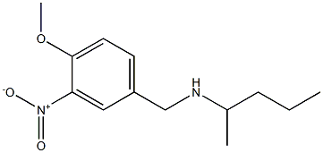 [(4-methoxy-3-nitrophenyl)methyl](pentan-2-yl)amine 化学構造式