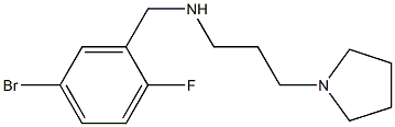 [(5-bromo-2-fluorophenyl)methyl][3-(pyrrolidin-1-yl)propyl]amine 结构式