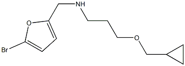 [(5-bromofuran-2-yl)methyl][3-(cyclopropylmethoxy)propyl]amine