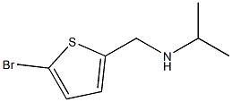 [(5-bromothiophen-2-yl)methyl](propan-2-yl)amine,,结构式