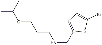 [(5-bromothiophen-2-yl)methyl][3-(propan-2-yloxy)propyl]amine,,结构式