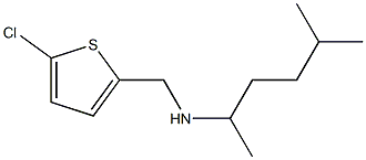 [(5-chlorothiophen-2-yl)methyl](5-methylhexan-2-yl)amine