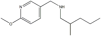 [(6-methoxypyridin-3-yl)methyl](2-methylpentyl)amine|