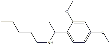[1-(2,4-dimethoxyphenyl)ethyl](pentyl)amine 结构式