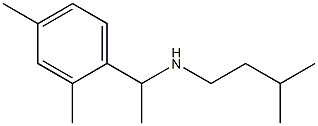 [1-(2,4-dimethylphenyl)ethyl](3-methylbutyl)amine Structure