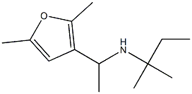  [1-(2,5-dimethylfuran-3-yl)ethyl](2-methylbutan-2-yl)amine