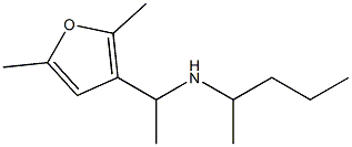 [1-(2,5-dimethylfuran-3-yl)ethyl](pentan-2-yl)amine|