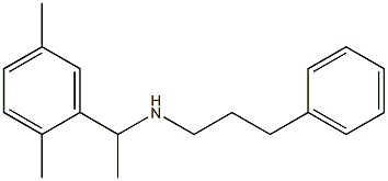  [1-(2,5-dimethylphenyl)ethyl](3-phenylpropyl)amine