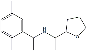 [1-(2,5-dimethylphenyl)ethyl][1-(oxolan-2-yl)ethyl]amine 化学構造式