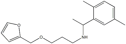 [1-(2,5-dimethylphenyl)ethyl][3-(furan-2-ylmethoxy)propyl]amine,,结构式