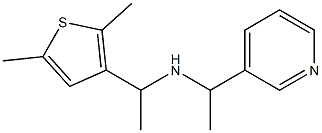 [1-(2,5-dimethylthiophen-3-yl)ethyl][1-(pyridin-3-yl)ethyl]amine Structure