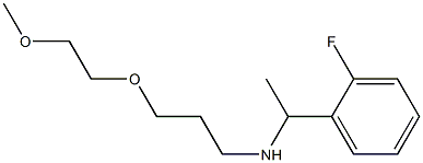 [1-(2-fluorophenyl)ethyl][3-(2-methoxyethoxy)propyl]amine Struktur
