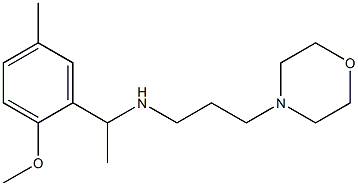 [1-(2-methoxy-5-methylphenyl)ethyl][3-(morpholin-4-yl)propyl]amine 结构式
