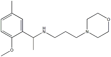 [1-(2-methoxy-5-methylphenyl)ethyl][3-(morpholin-4-yl)propyl]amine