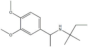 [1-(3,4-dimethoxyphenyl)ethyl](2-methylbutan-2-yl)amine,,结构式