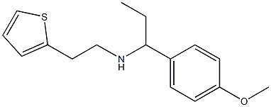 [1-(4-methoxyphenyl)propyl][2-(thiophen-2-yl)ethyl]amine,,结构式
