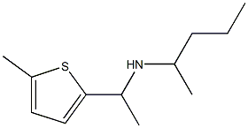 [1-(5-methylthiophen-2-yl)ethyl](pentan-2-yl)amine