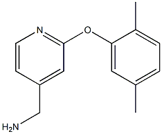 [2-(2,5-dimethylphenoxy)pyridin-4-yl]methylamine