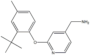 [2-(2-tert-butyl-4-methylphenoxy)pyridin-4-yl]methanamine Structure